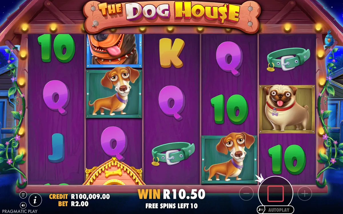 The Dog House gameplay screenshot